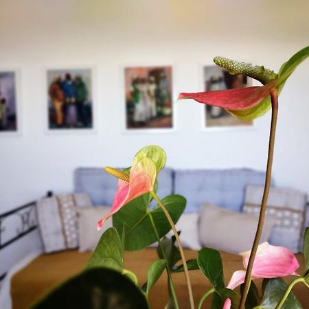 Casa Arte De Sorvilán Eksteriør billede