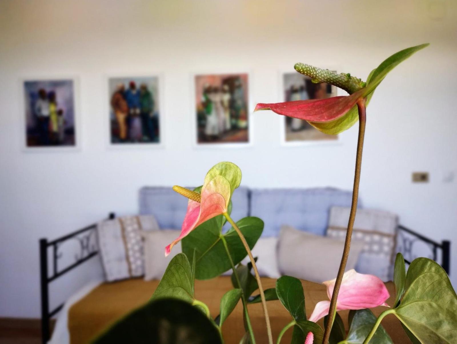 Casa Arte De Sorvilán Eksteriør billede
